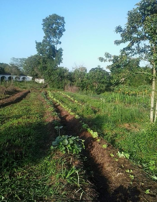 Itaboraí 2